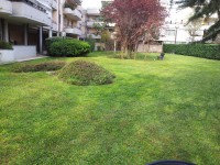 /album/galleria-foto-gallery/a20140401-170004-jpg/