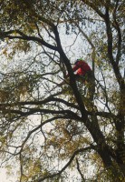 /album/galleria-foto-gallery/dsc-1689-jpg/