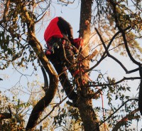 /album/galleria-foto-gallery/dsc-1706-jpg1/