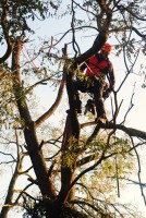 /album/galleria-foto-gallery/dsc-1726-jpg/