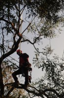 /album/galleria-foto-gallery/dsc-1734-jpg/